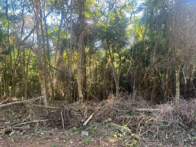 Terreno para Venda em Juiz de Fora, Novo Horizonte