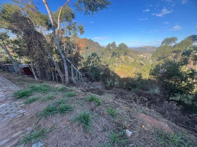 Terreno para Venda em Juiz de Fora, Novo Horizonte