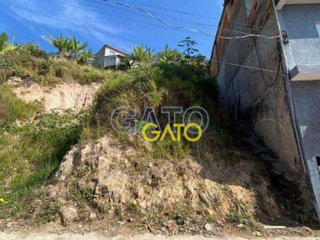 Terreno Residencial à venda, Panorama (Polvilho), Cajamar - TE0041.