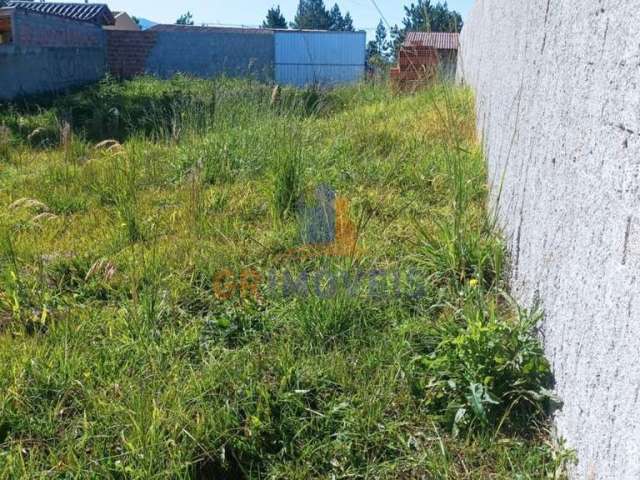 Terreno para Venda em Piraquara, Planta Deodoro