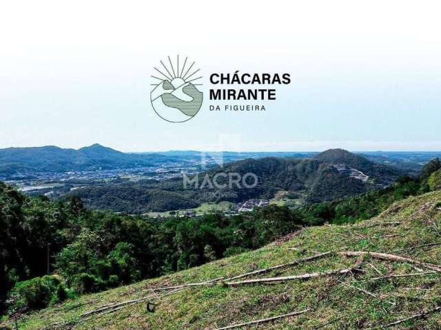 Chacaras Mirante | Ilha da Figueira | 20.000m²