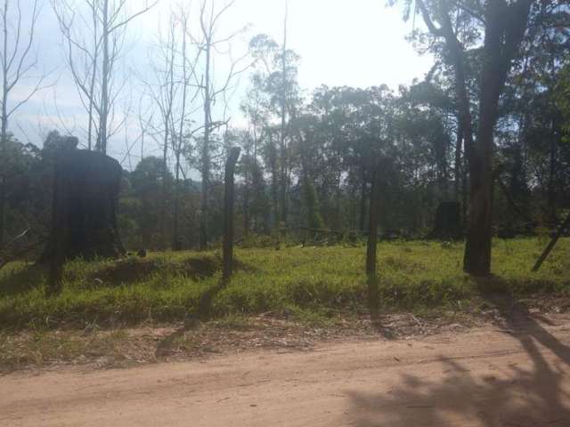 Terrno Campo Limpo paulista 5.000 mts