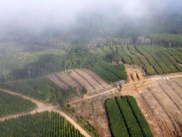 Chácara / sítio à venda na 9 km da Pista Bairro Ibaitinga, Zona Rural, São Miguel Arcanjo por R$ 2.500.000