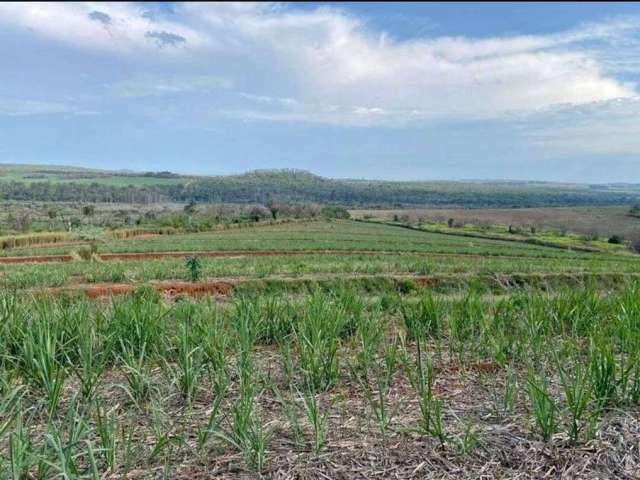 Fazenda à venda na Área Rural, Área Rural de São Carlos, São Carlos por R$ 15.000.000