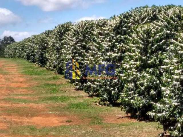 Fazenda à venda na Avenida Doutor Hélio Palermo, 1020, Centro, Franca por R$ 250.000.000