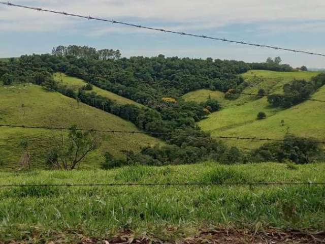 Chácara / sítio à venda na estrada vicinal, 1236, Samanbaial, Barão de Antonina por R$ 2.000.000