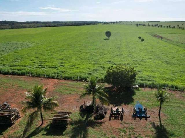 Fazenda à venda na Rua Rural, Zona Rural, Minaçu por R$ 55.000.000