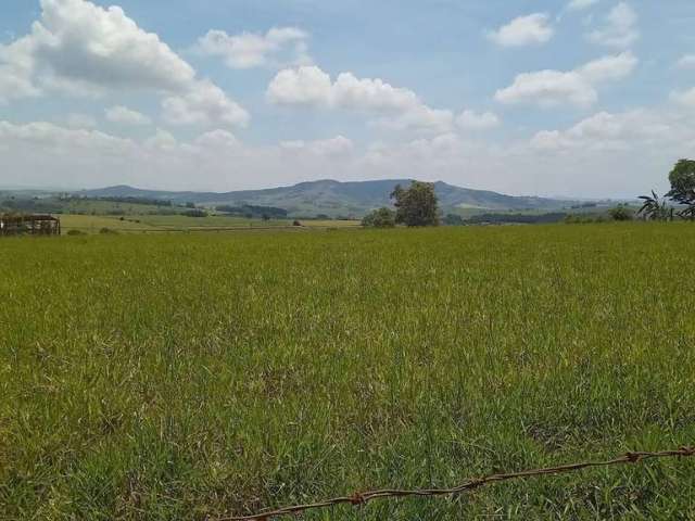 Terreno à venda na rua atrás da avenida brasília, 1010, Centro, Barão de Antonina por R$ 2.680.000