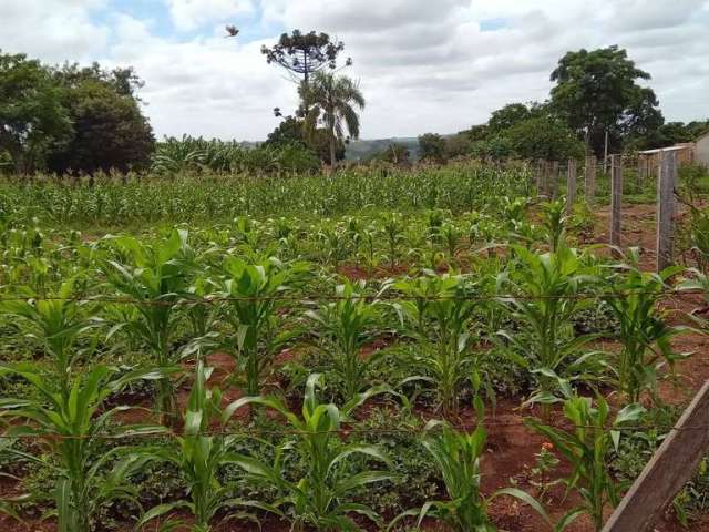 Terreno à venda na estrada briene, 1010, Samanbaial, Barão de Antonina por R$ 42.900