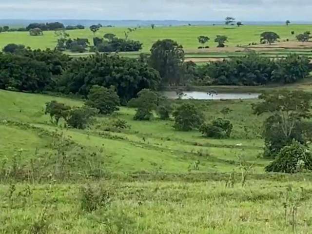 Fazenda à venda na Área Rural, Área Rural de Tupã, Tupã por R$ 20.000.000