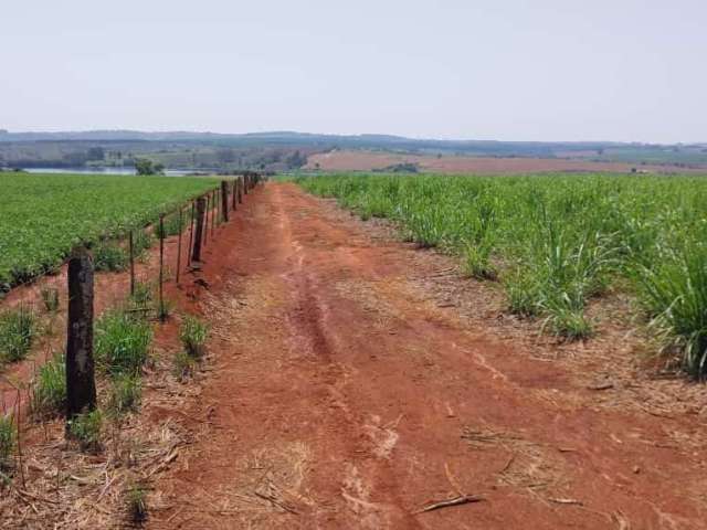 Fazenda à venda na Área Rural, Zona Rural, Itaí por R$ 31.500.000