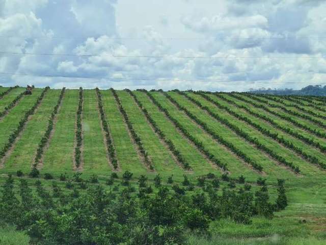 Fazenda à venda na Vicinal, Zona Rural, Campina Verde por R$ 65.000.000