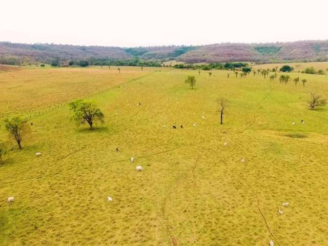 Fazenda à venda na Vicinal, 10202, Zona Rural, Campina Verde por R$ 4.200.000