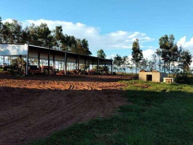 Fazenda à venda na Ribas do Rio Pardo, 1010, Centro, Ribas do Rio Pardo por R$ 50.000.000