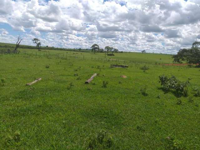 Fazenda à venda na vicinal, 1020, Centro, Naviraí por R$ 9.000.000