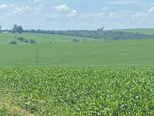 Fazenda à venda na Rural, Área Rural de Itapetininga, Itapetininga por R$ 30.500.000