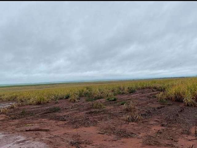 Fazenda à venda na Abilio Pagliari, 1020, Vila Nova Iacanga, Iacanga por R$ 98.000.000