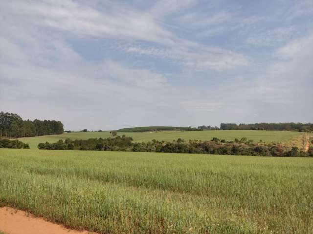 Fazenda à venda na Rural, 1021, Área Rural de Itapetininga, Itapetininga por R$ 15.500.000