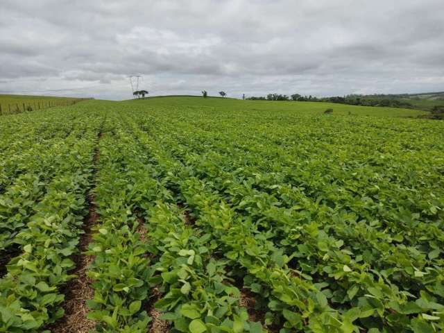 Chácara / sítio à venda na Estrada Vicinal, 1020, Zona Rural, Pilar do Sul por R$ 4.250.000