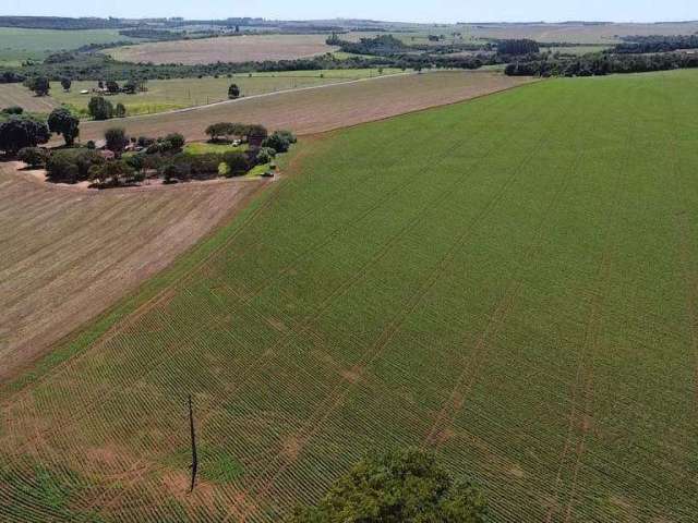 Fazenda à venda na Vicinal, 2, Zona Rural, Itaí por R$ 16.000.000