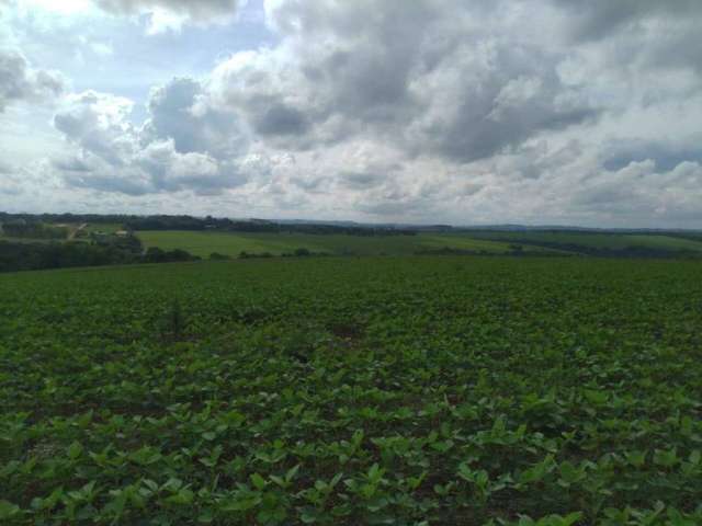 Fazenda à venda na estrada vicinal, 1010, Centro, Alambari por R$ 35.000.000