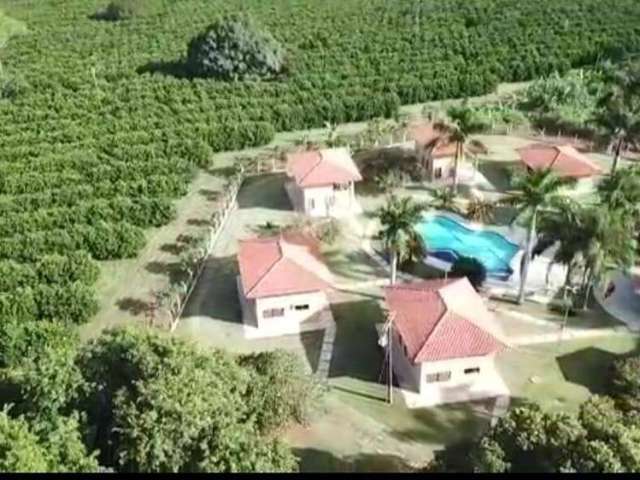 Fazenda à venda na Área Rural, Área Rural de São José do Rio Preto, São José do Rio Preto por R$ 29.000.000