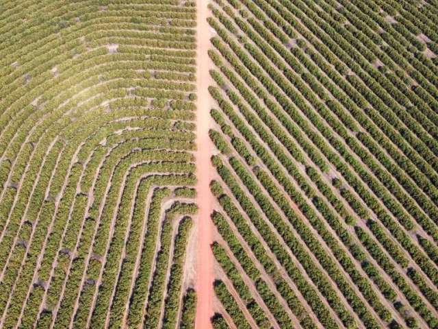 Fazenda à venda na Área Rural, Área Rural de Franca, Franca por R$ 38.500.000