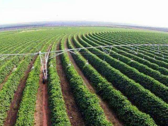 Fazenda à venda na Ibia Minas Gerais, 01, Zona Rural, Ibiá por R$ 650.000.000