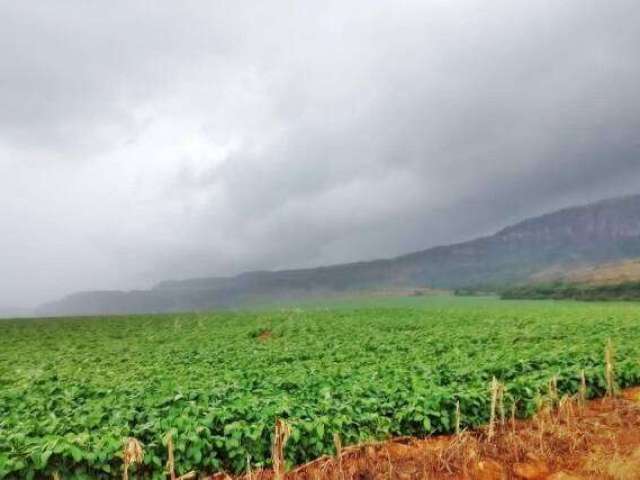 Fazenda à venda na serra da canastra, Centro, São Roque de Minas por R$ 160.000.000