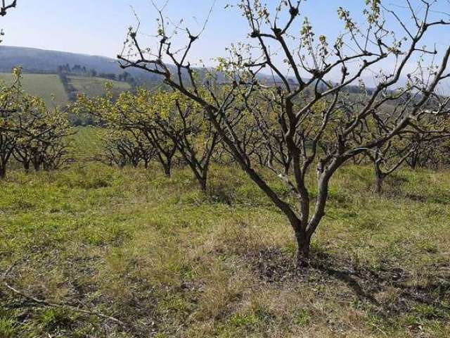 Fazenda à venda na estrada vicinal, Centro, São Miguel Arcanjo por R$ 11.000.000