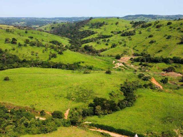 Fazenda à venda na Rua 15 de Novembro, Centro, Itapira por R$ 33.000.000