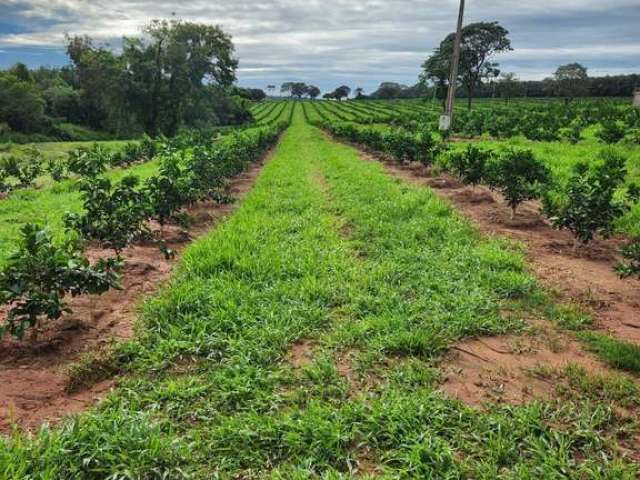 Fazenda à venda na Rural, Área Rural de São José do Rio Preto, São José do Rio Preto por R$ 22.000.000