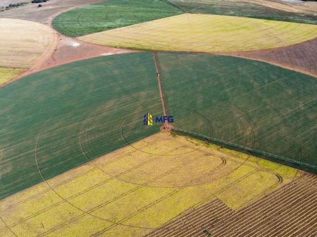 Fazenda à venda na FAZENDA MUNICÍPIO DE CRISTALINA, Área Rural de Luziânia, Luziânia por R$ 62.000.000