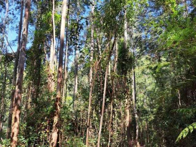 Fazenda à venda na Bragança Paulista, Centro, Bragança Paulista por R$ 60.000.000