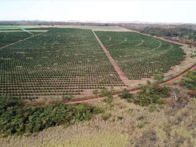 Fazenda à venda na Rural, 1020, Zona Rural, Votuporanga por R$ 27.000.000