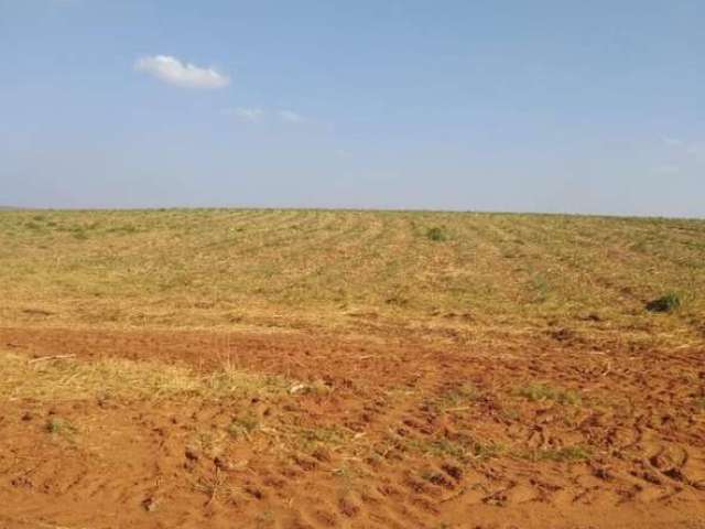 Fazenda à venda na Rural, 1021, Área Rural de Presidente Prudente, Presidente Prudente por R$ 82.000.000