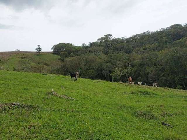 Chácara / sítio com 2 quartos à venda na Vicinal, 1020, Área Rural de Itapetininga, Itapetininga por R$ 1.190.000