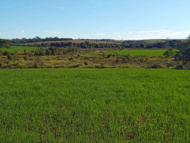 Chácara / sítio com 1 quarto à venda na Zona Rural, Capela do Alto  por R$ 3.630.000