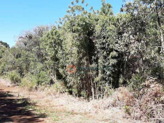 Fazenda à venda, 271 Alq - Guará - Guarapuava/PR