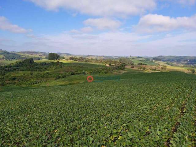 Fazenda à venda, 100 alqueires por R$ 17.000.000 - Centro - Goioxim/PR