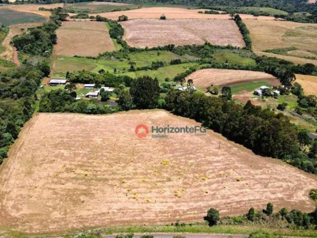 Chácara à venda, 10 alqueires por R$ 4.000.000 - Palmeirinha - Guarapuava/PR