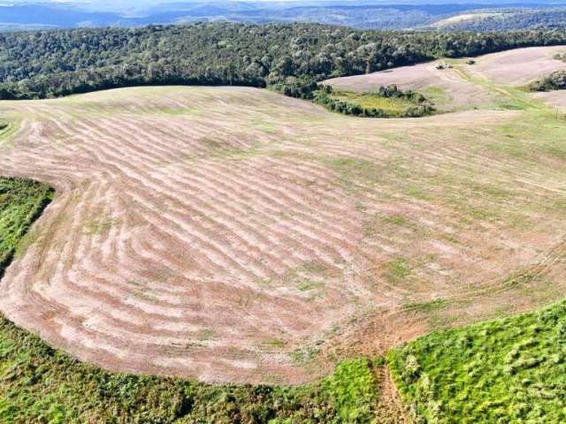 Fazenda à venda, 135 alqueires por R$ 15.000.000,00 - Entre Rios - Guarapuava/PR