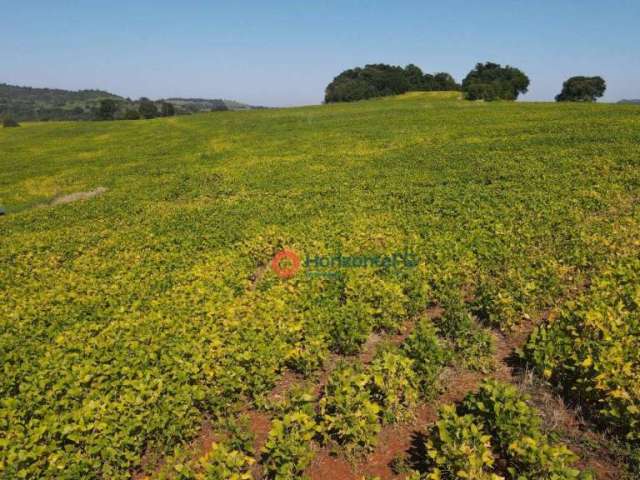 Fazenda à venda, 275 alqueires por R$ 46.750.000,00 - Zona Rural  - PR.