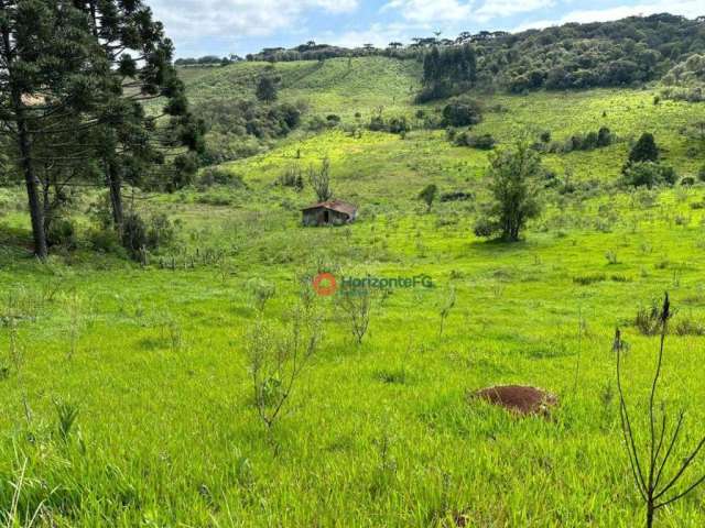 Chácara à venda, 05 alqueires por R$ 1.300.000 - Guarapuava/PR