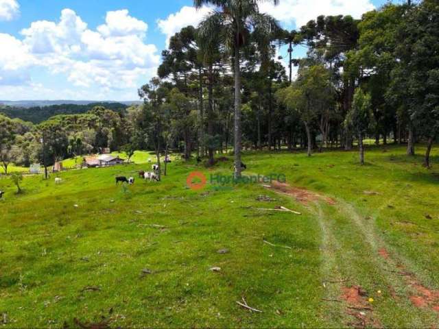 Chácara à venda, 18 alqueires por R$ 1.500.000,00 - Zona Rural - Guarapuava/PR