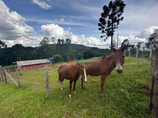 Chácara à venda, 1.5 alqueires por R$ 500.000 - Zona Rural - Guarapuava/PR