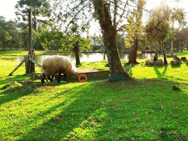 Chácara à venda, 05 alqueires por R$ 1.800.000 - Zona Rural - Guarapuava/PR