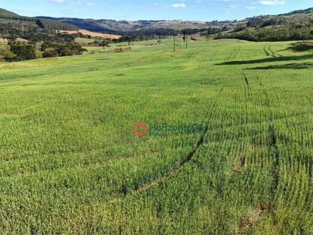 Chácara à venda, 10.6 alqueires por R$ 2.300.000 - Zona Rural - Guarapuava/PR