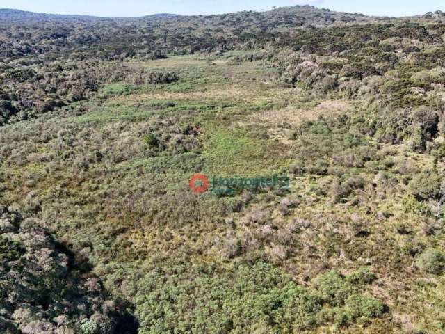 Fazenda à venda, 120 Alqueire por R$ 4.800.000 - Zona Rural - Guarapuava/PR