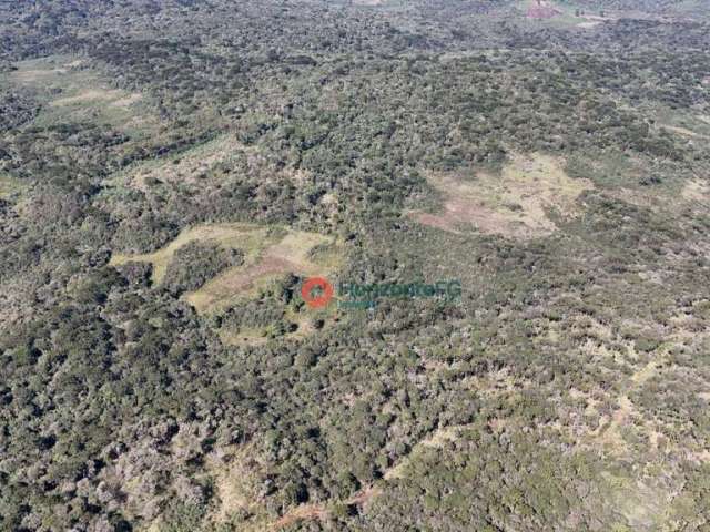 Fazenda à venda, 120 Alqueire por R$ 4.800.000 - Zona Rural - Guarapuava/PR